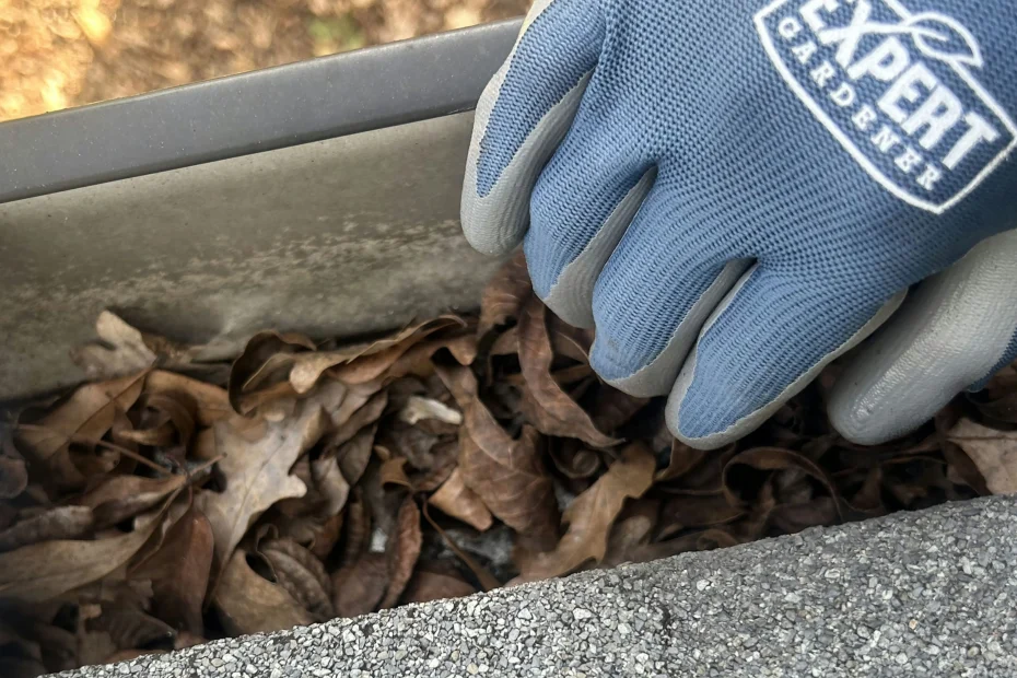 Gutter Cleaning Rollingwood, TX