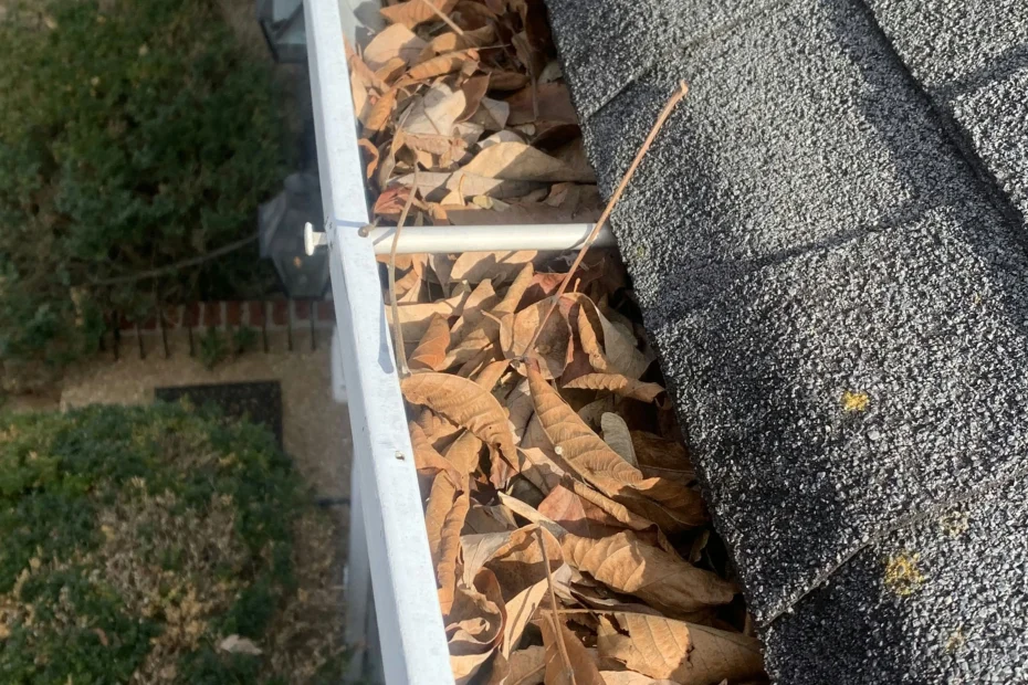 Gutter Cleaning Rollingwood, TX